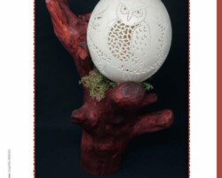 the Holunderelfe, issue 4/2021, issue 21, winter 2021/2022 on pages 53 to 55 the article “Perforated eggs” appeared: